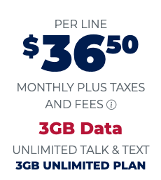 3 GB Unlimited Plan